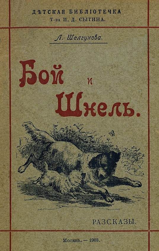 Обложка книги «Бой и Шнель»