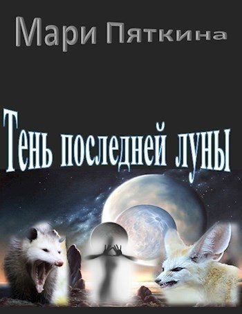 Обложка книги «Тень последней луны»