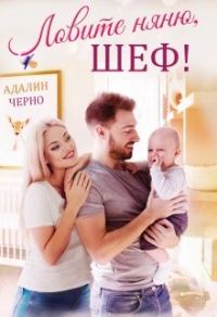 Обложка книги «Ловите няню, шеф»