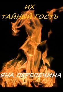 Обложка книги «Их тайный гость»