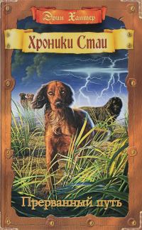 Обложка книги «Прерванный путь»
