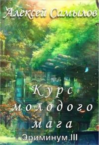 Обложка книги «Курс молодого мага»
