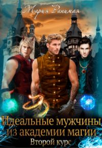 Обложка книги «Идеальные мужчины из академии магии. Второй курс»