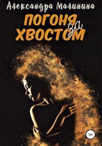 Обложка книги «Погоня за хвостом»