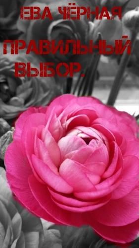 Обложка книги «Правильный выбор»