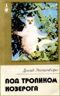 Обложка книги «В поисках дракона»