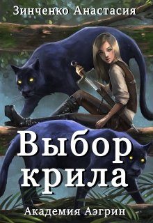 Обложка книги «Выбор крила+Бонус»