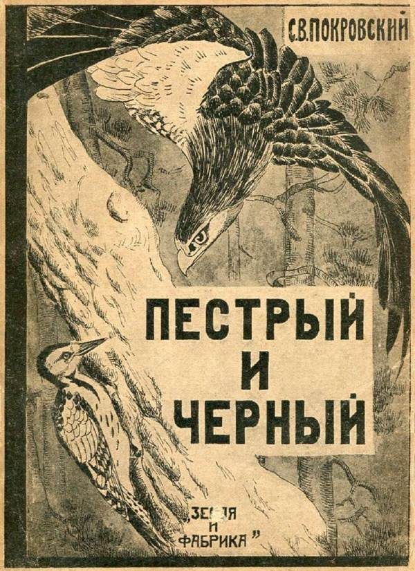 Обложка книги «Пестрый и Черный»