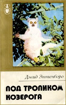 Обложка книги «Мадагаскарские диковины»