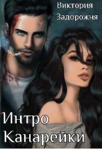 Обложка книги «Интро Канарейки»