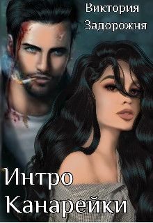 Обложка книги «Интро Канарейки»