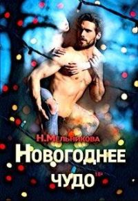 Обложка книги «Новогоднее чудо»