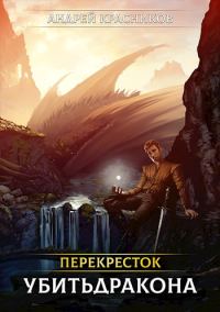 Обложка книги «Убить дракона (авторская версия)»
