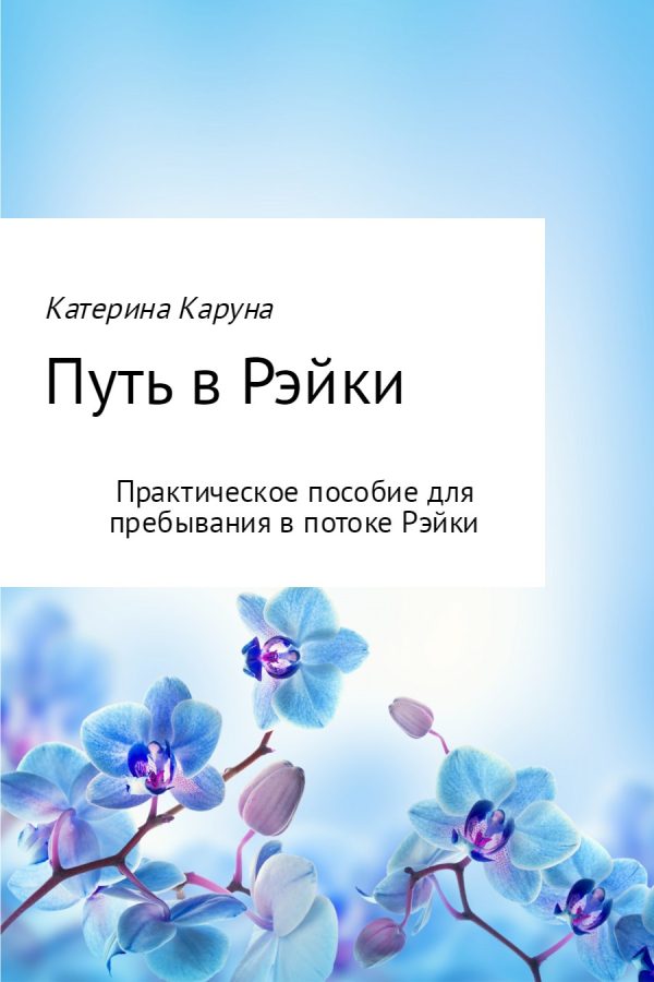 Обложка книги «Путь в Рэйки (любительская редактура)»