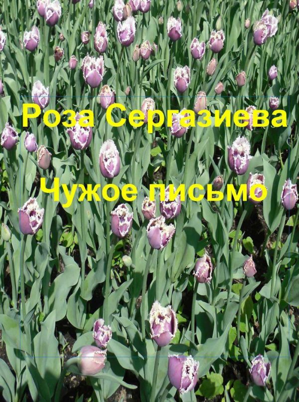 Обложка книги «Чужое письмо (СИ) (черновик)»