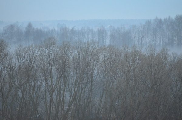 Обложка книги «Все начинается утром (полная)»