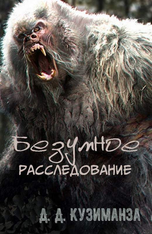 Обложка книги «Безумное расследование»