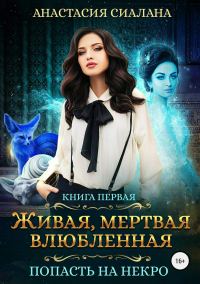 Обложка книги «Попасть на Некро»