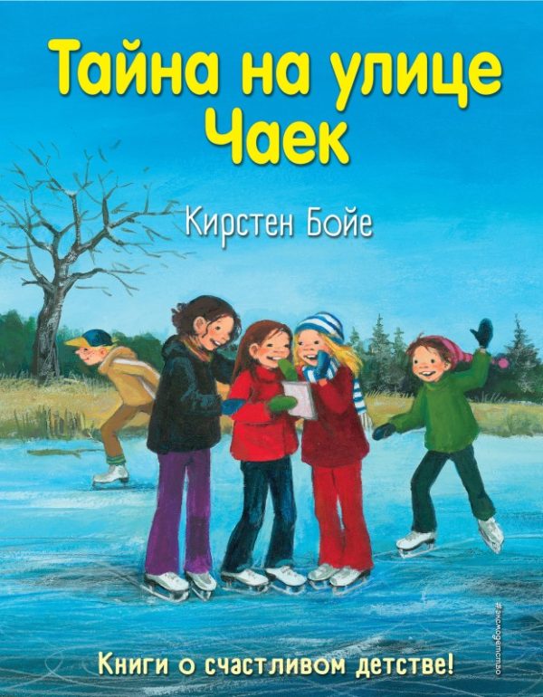 Обложка книги «Тайна на улице Чаек»