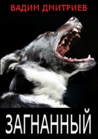 Обложка книги «Загнанный (авторская версия)»