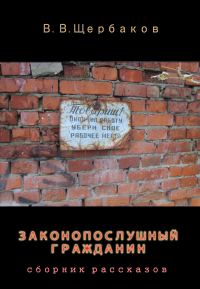 Обложка книги «Законопослушный гражданин»