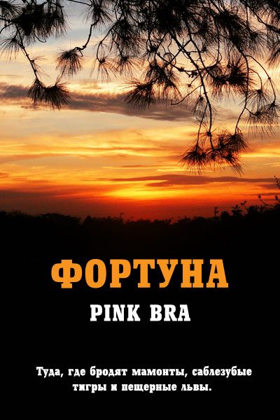 Обложка книги «Фортуна (самиздат)»