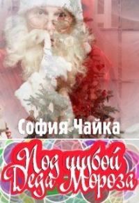 Обложка книги «Под шубой Деда Мороза»