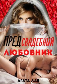 Обложка книги «Предсвадебный любовник»