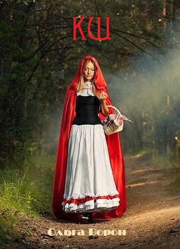 Обложка книги «КШ»