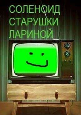Обложка книги «Соленоид старушки Лариной»