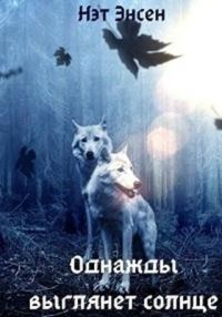 Обложка книги «Однажды выглянет солнце»