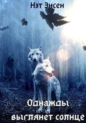 Обложка книги «Однажды выглянет солнце»