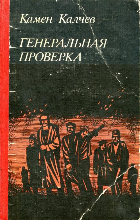 Обложка книги «Генеральная проверка»