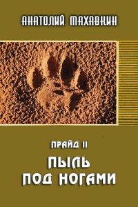 Обложка книги «Пыль под ногами»