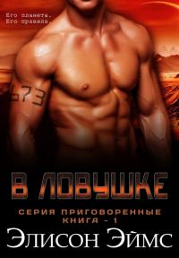 Обложка книги «В ловушке»