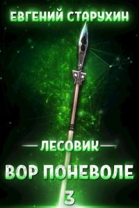 Обложка книги «Вор поневоле»