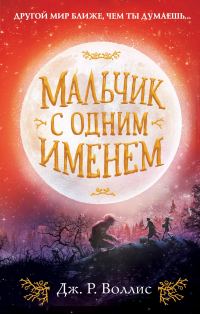Обложка книги «Мальчик с одним именем»