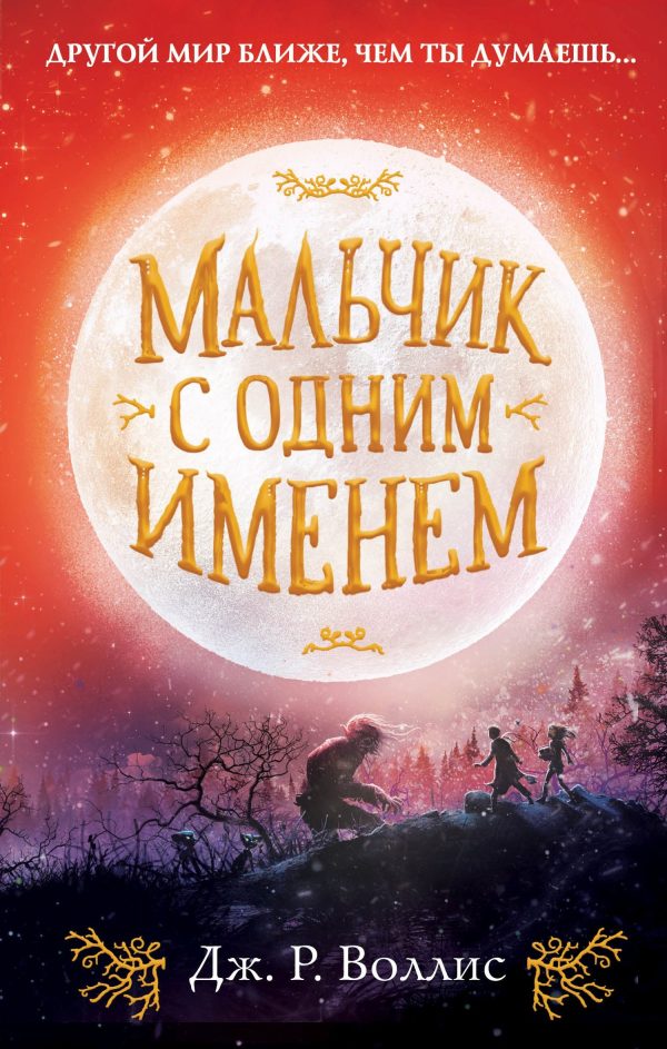 Обложка книги «Мальчик с одним именем»