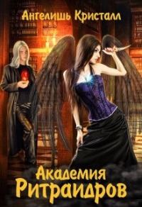Обложка книги «Академия Ритраидров»
