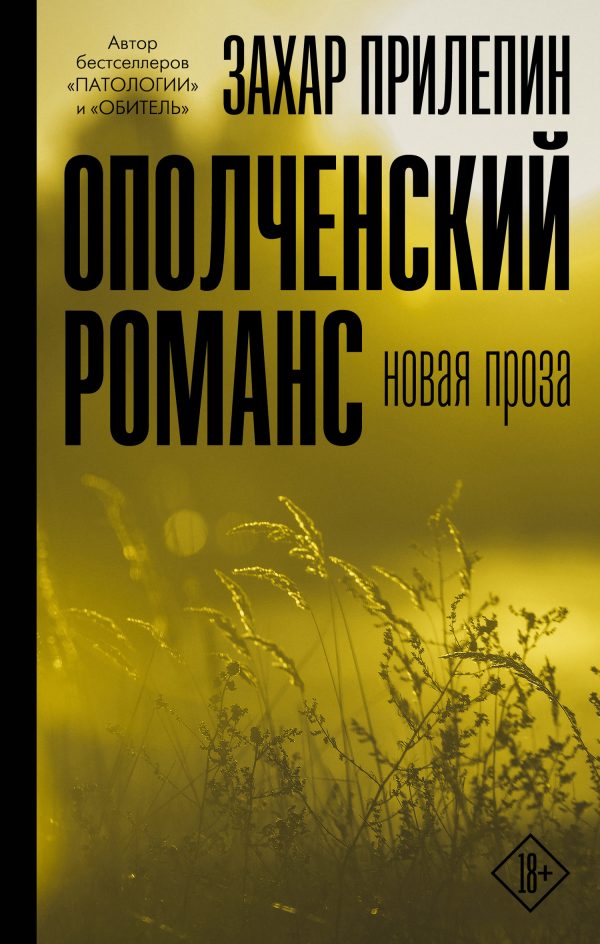 Обложка книги «Ополченский романс»
