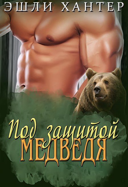 Обложка книги «Под защитой медведя»