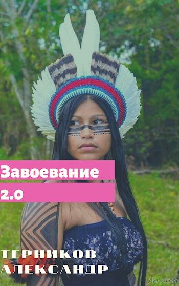 Обложка книги «Завоевание 2.0»