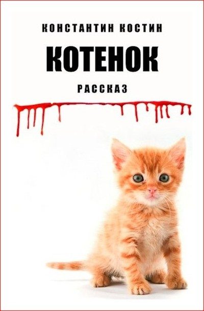 Обложка книги «Котенок»