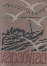 Обложка книги «Кара-Бугаз»