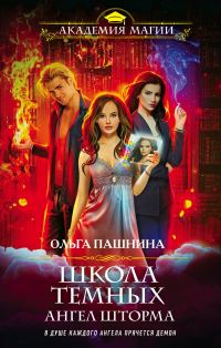 Обложка книги «Ангел шторма»