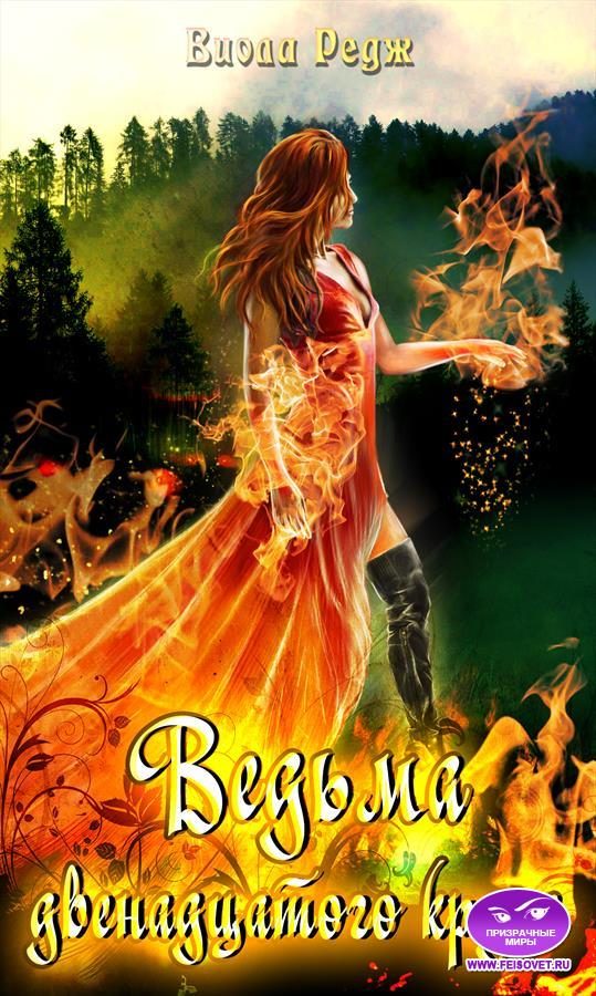 Обложка книги «Ведьма двенадцатого круга»