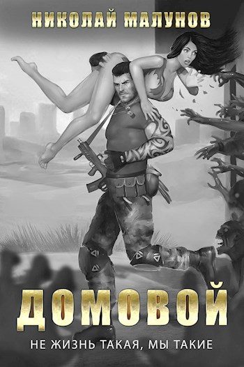 Обложка книги «Домовой»