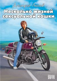 Обложка книги «Несколько жизней Сексуальной Кошки»