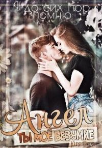 Обложка книги «Ангел. Ты моё безумие»