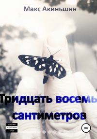 Обложка книги «Тридцать восемь сантиметров»